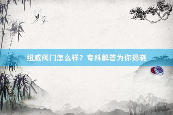 纽威阀门怎么样？专科解答为你揭晓